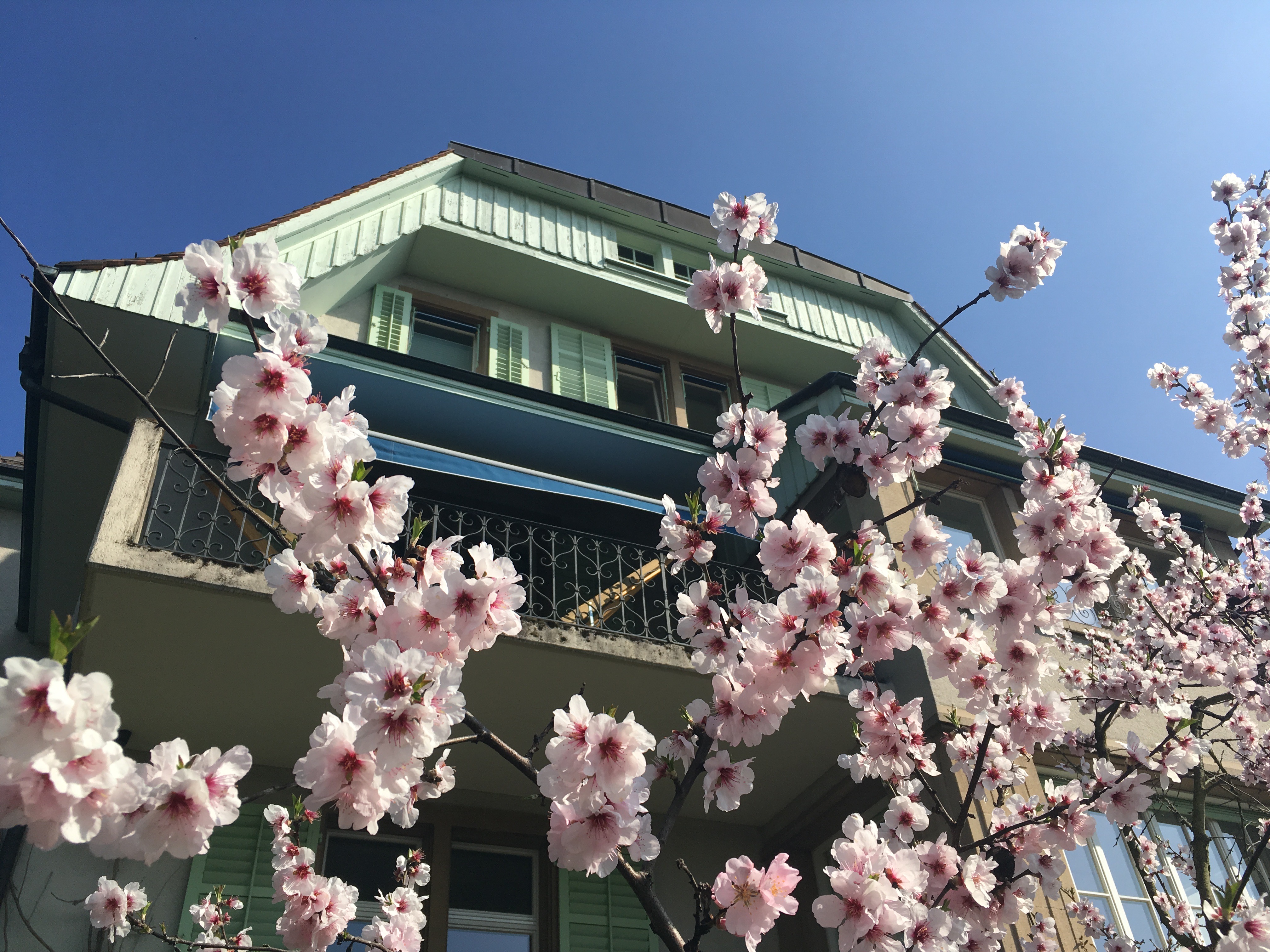 Villa Campell Exterior